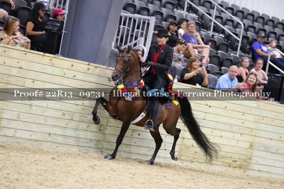 Proof 22R13_09731
