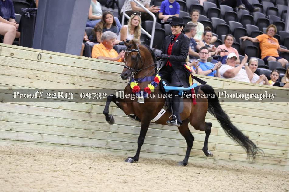 Proof 22R13_09732