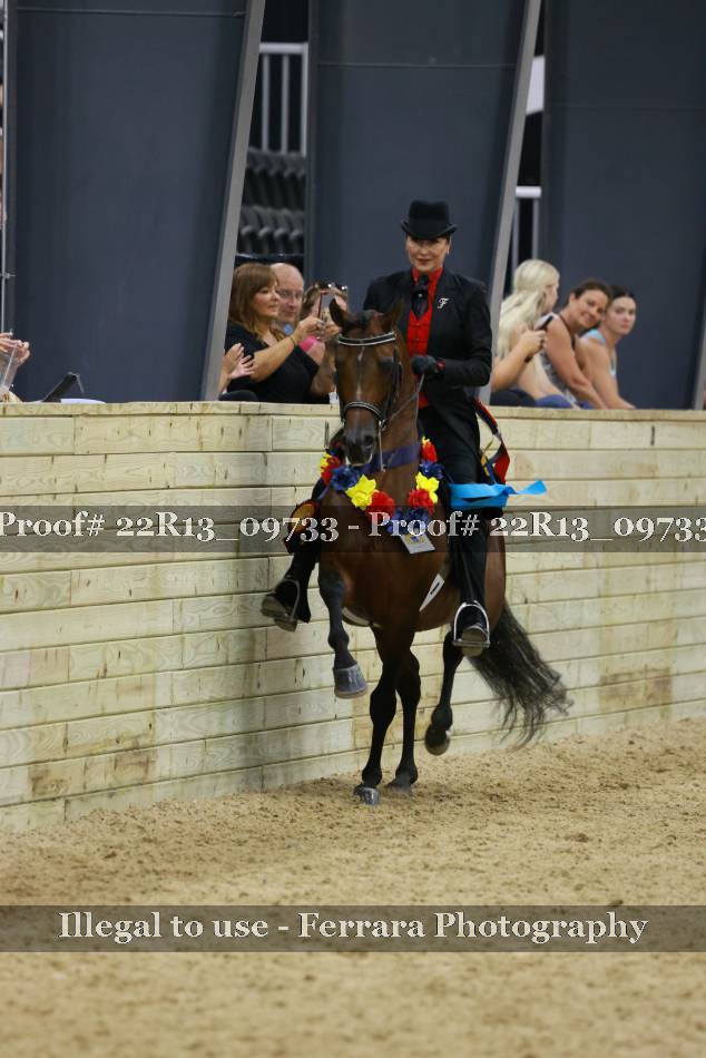 Proof 22R13_09733