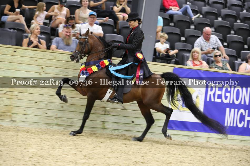 Proof 22R13_09736