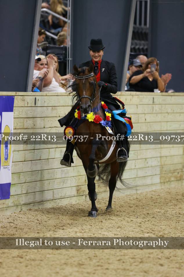 Proof 22R13_09737