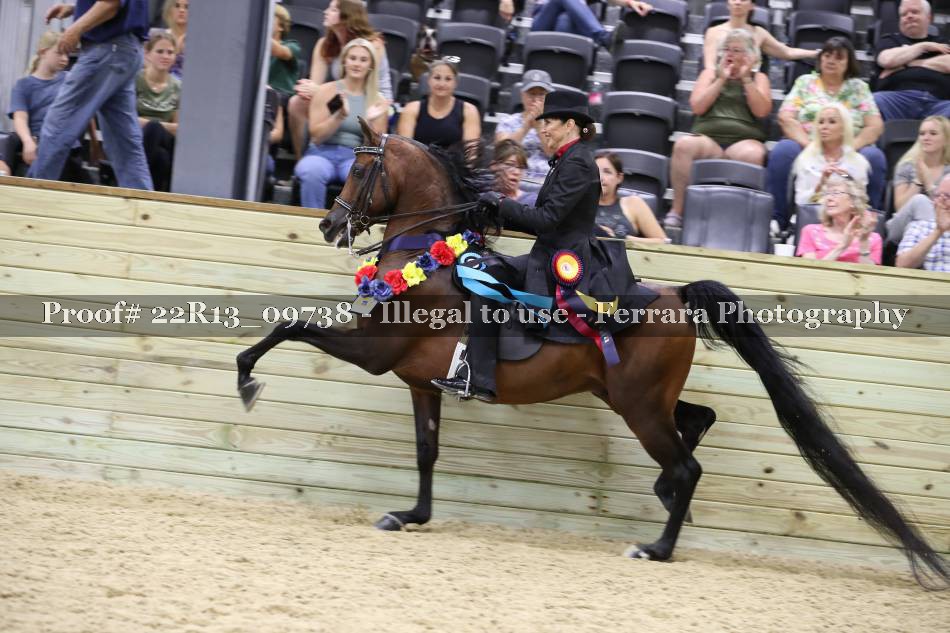 Proof 22R13_09738