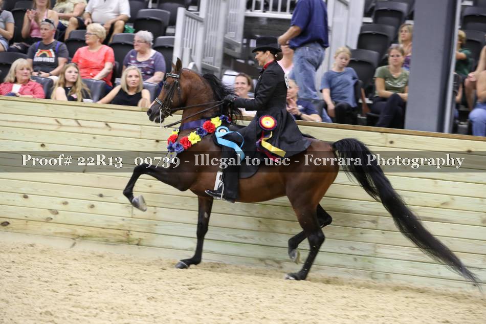 Proof 22R13_09739