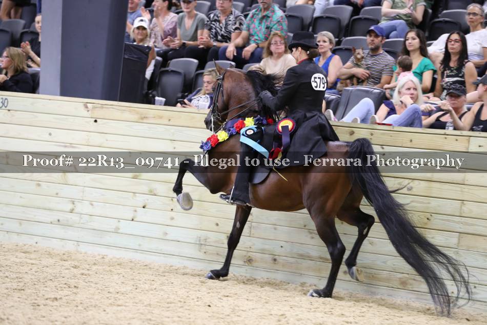 Proof 22R13_09741