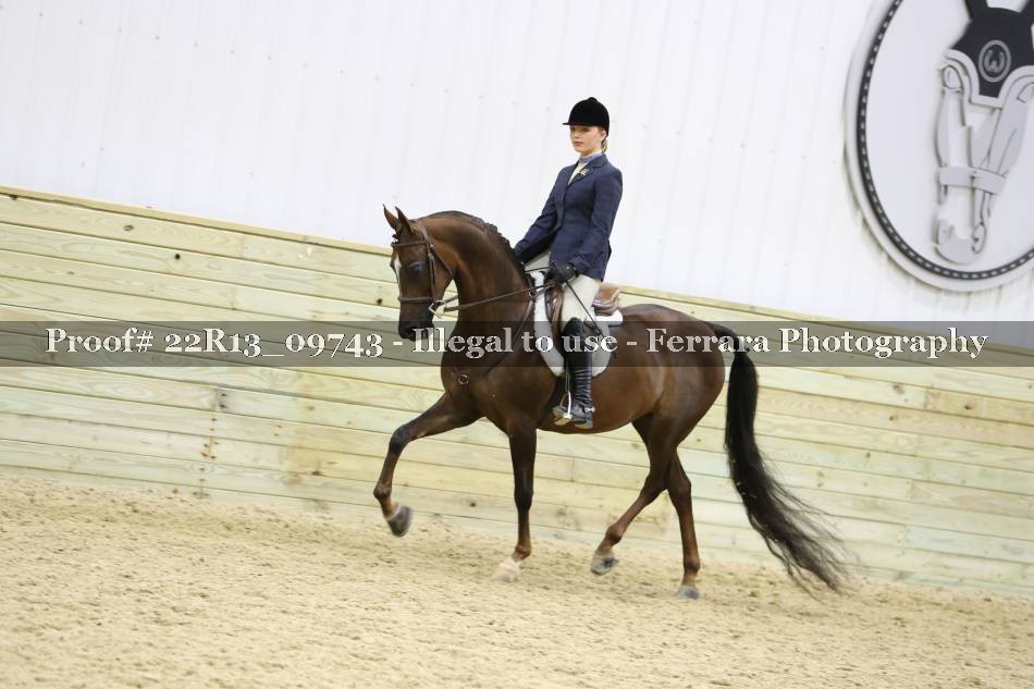 Proof 22R13_09743