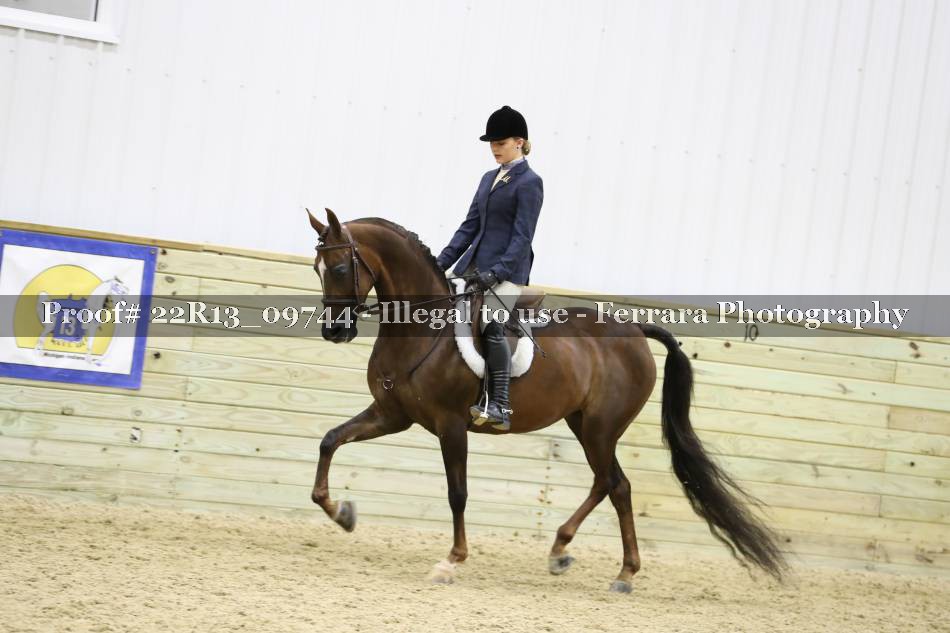 Proof 22R13_09744
