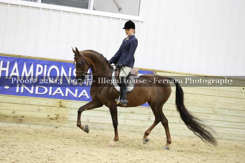 Proof 22R13_09745