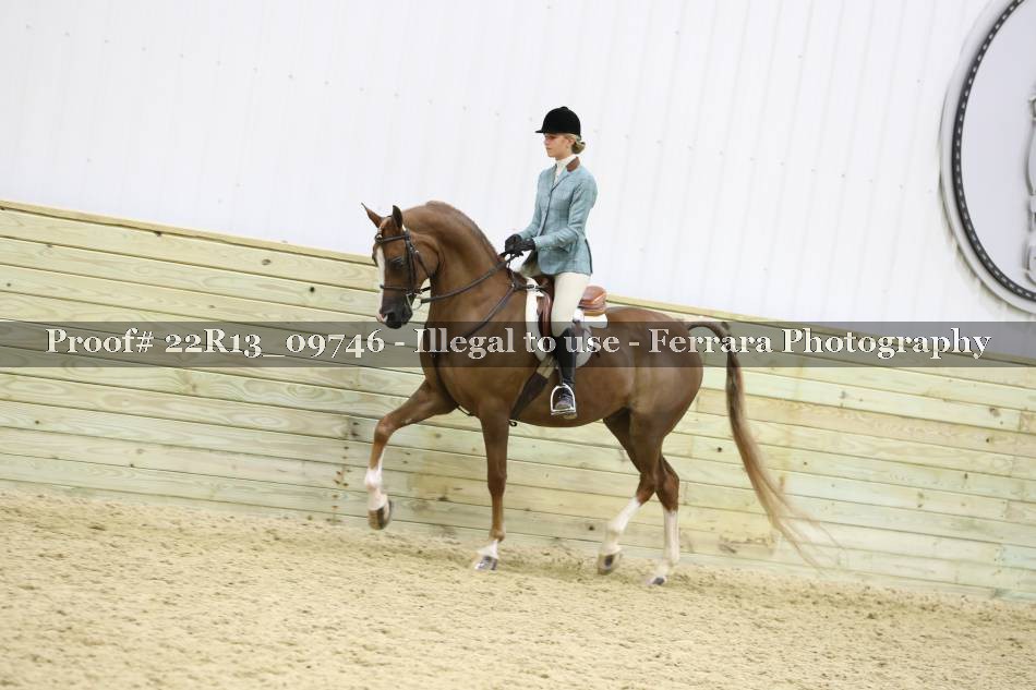 Proof 22R13_09746