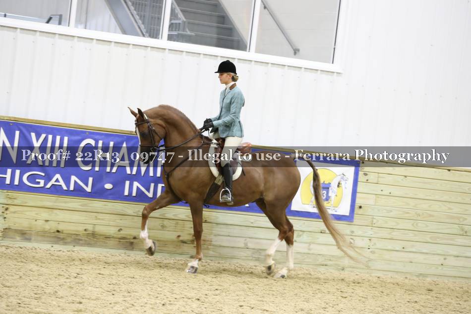 Proof 22R13_09747