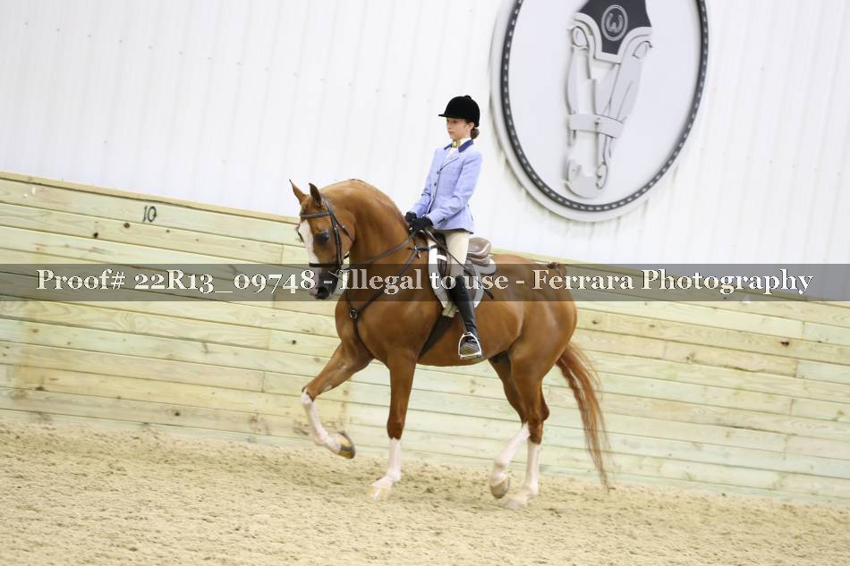 Proof 22R13_09748