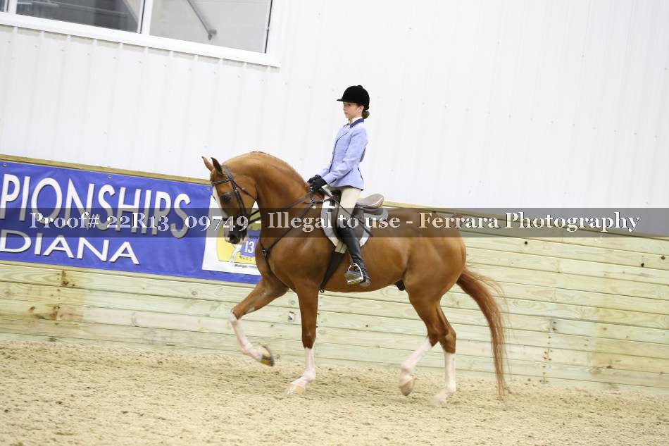 Proof 22R13_09749