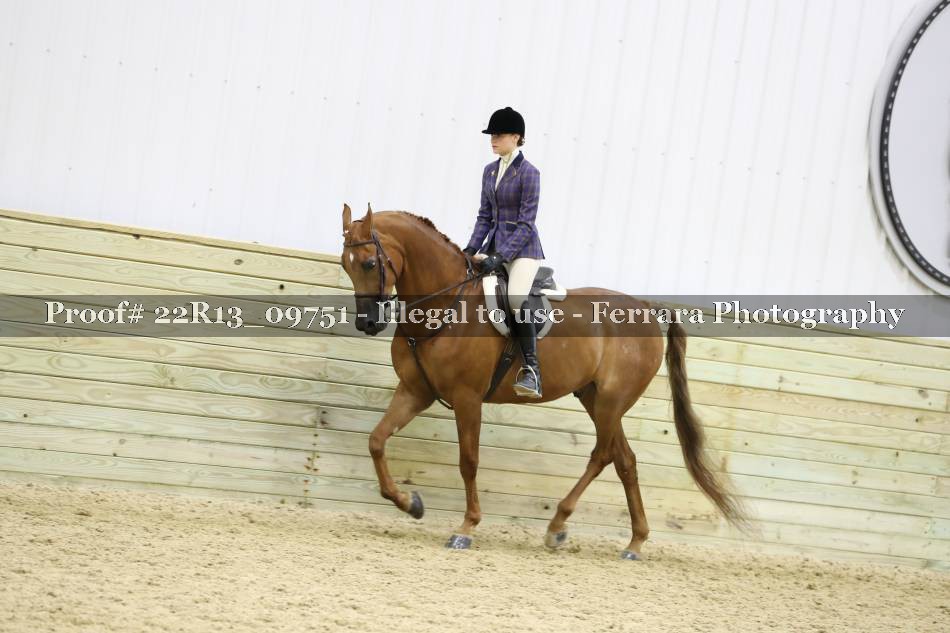 Proof 22R13_09751