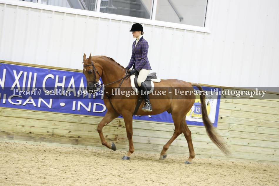 Proof 22R13_09752