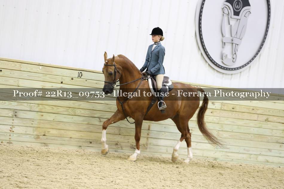 Proof 22R13_09753