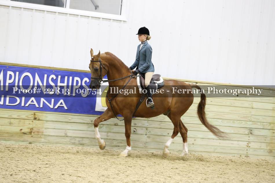Proof 22R13_09754