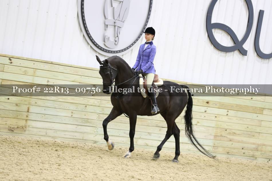 Proof 22R13_09756