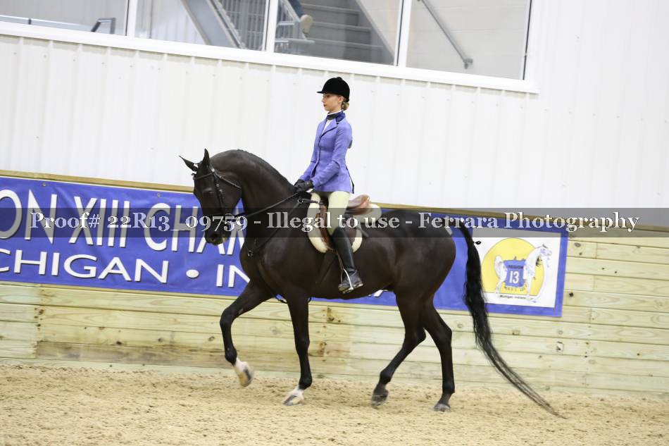 Proof 22R13_09759