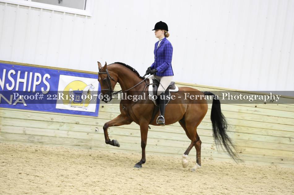 Proof 22R13_09763