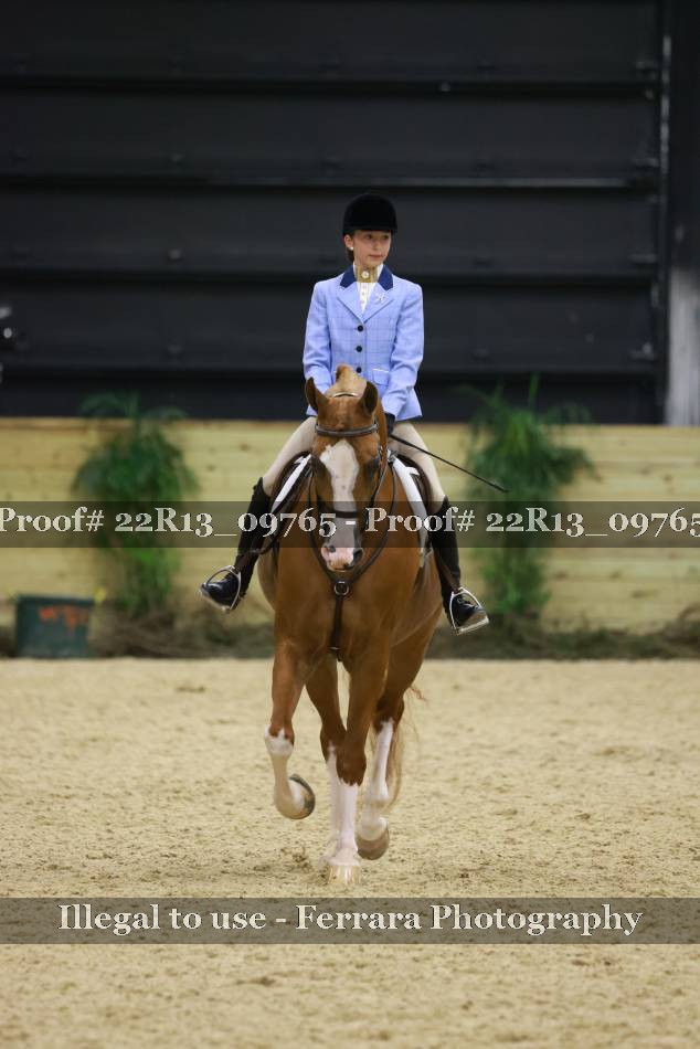 Proof 22R13_09765