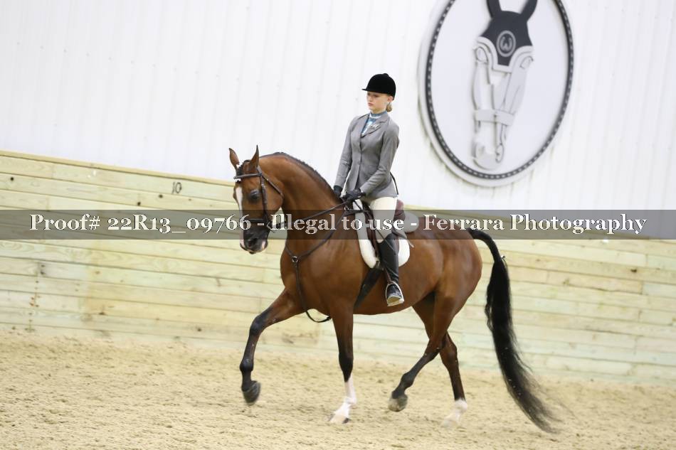Proof 22R13_09766