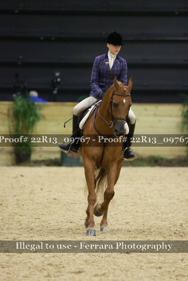 Proof 22R13_09767