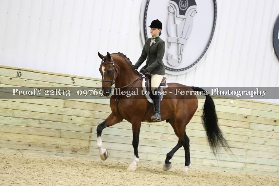Proof 22R13_09769