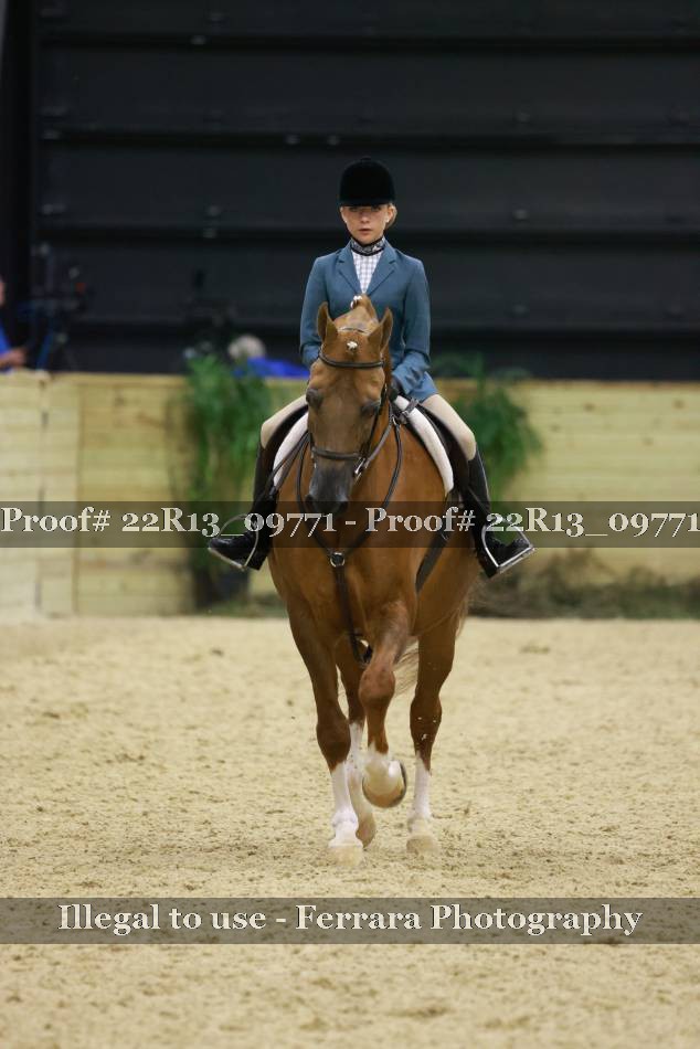 Proof 22R13_09771