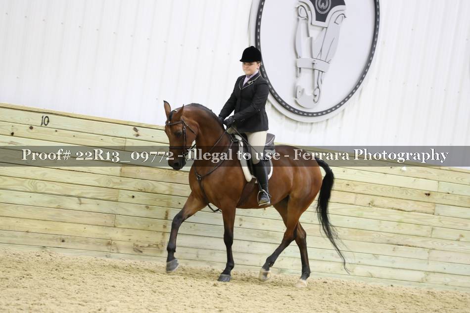 Proof 22R13_09772