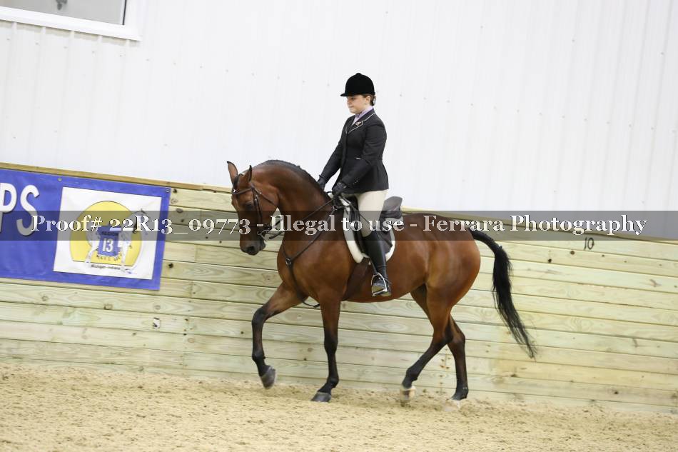 Proof 22R13_09773