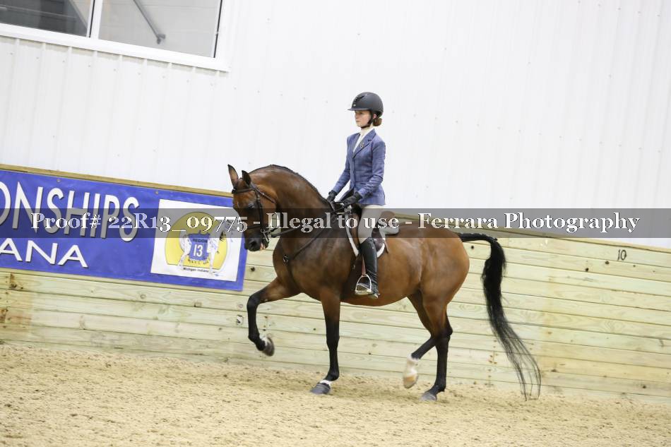 Proof 22R13_09775