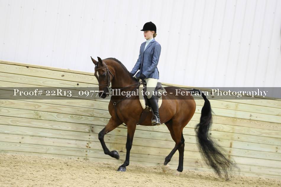 Proof 22R13_09777