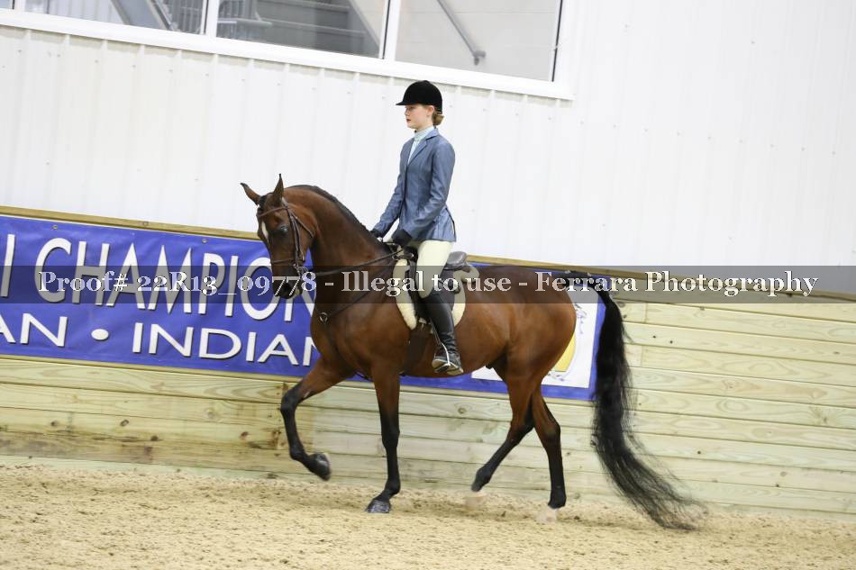 Proof 22R13_09778