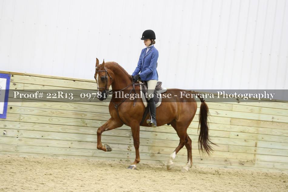 Proof 22R13_09781