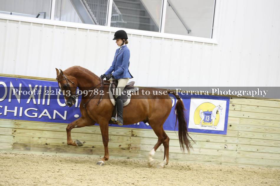 Proof 22R13_09782