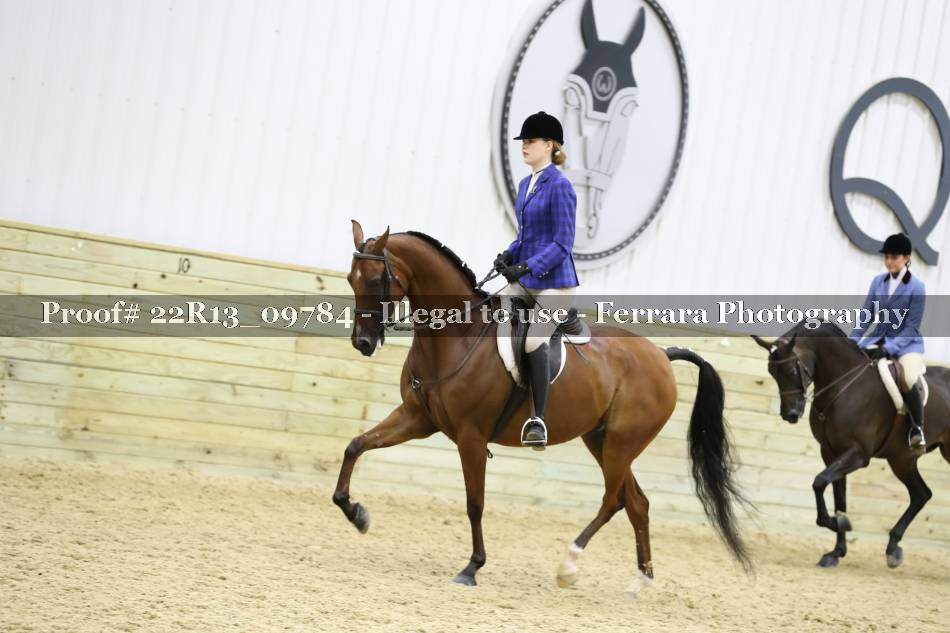 Proof 22R13_09784