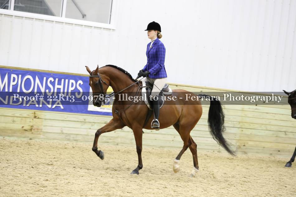 Proof 22R13_09785