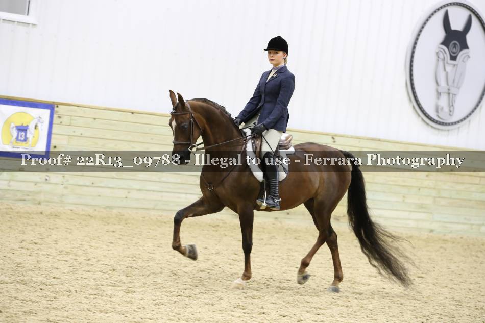 Proof 22R13_09788