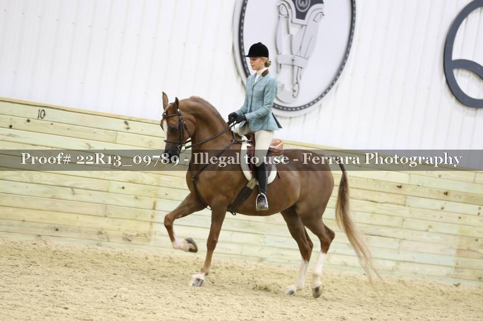Proof 22R13_09789
