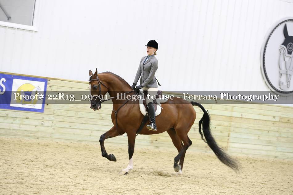 Proof 22R13_09791