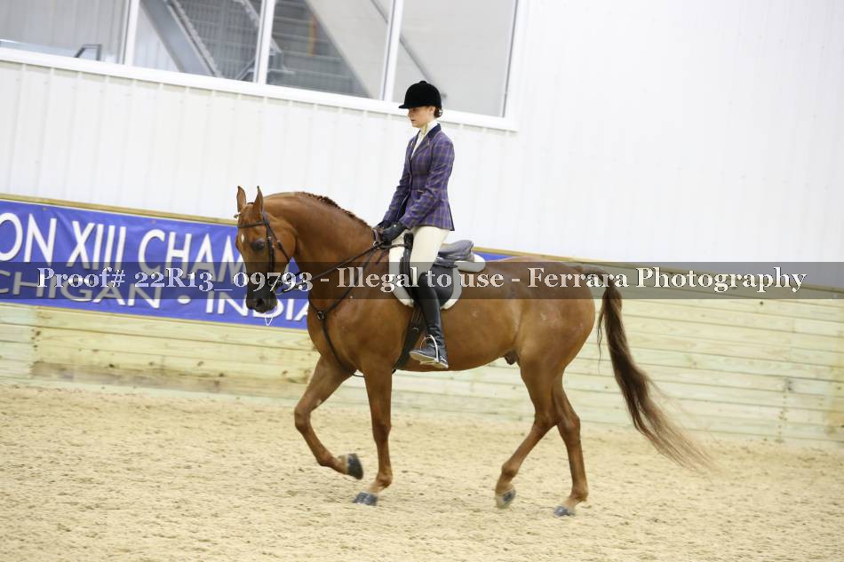 Proof 22R13_09793