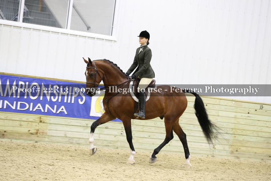 Proof 22R13_09794