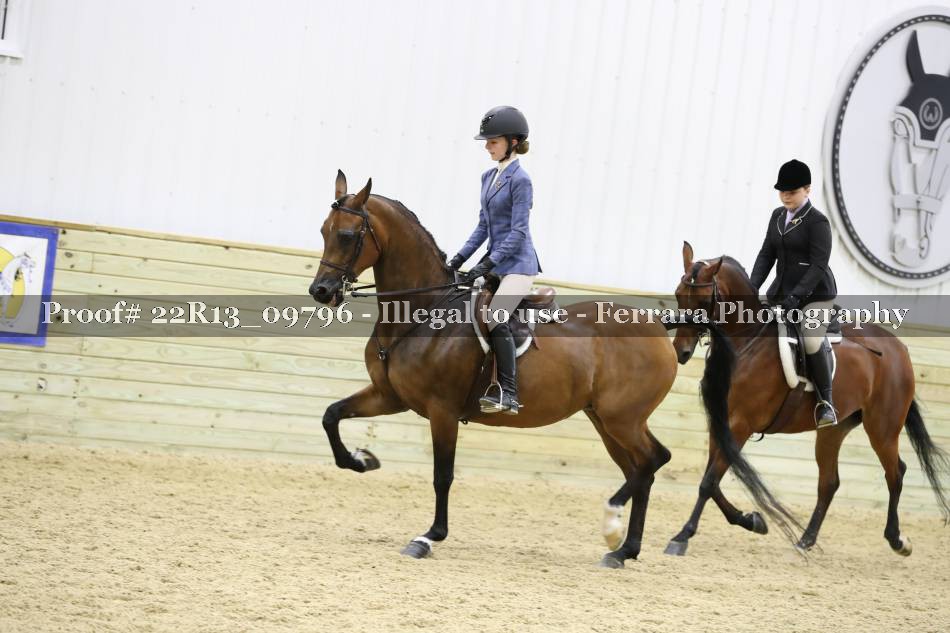 Proof 22R13_09796
