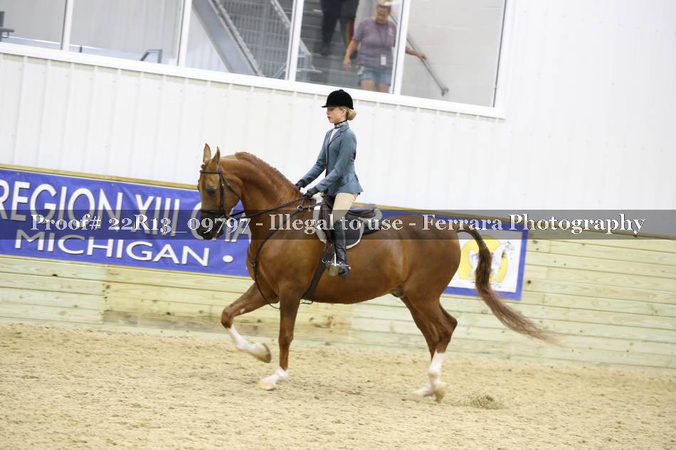 Proof 22R13_09797