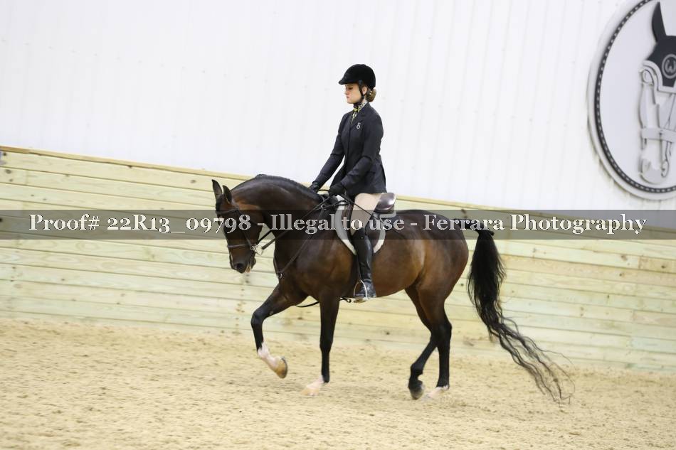 Proof 22R13_09798