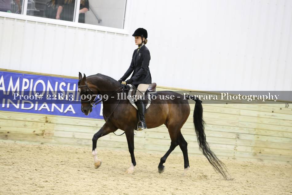 Proof 22R13_09799