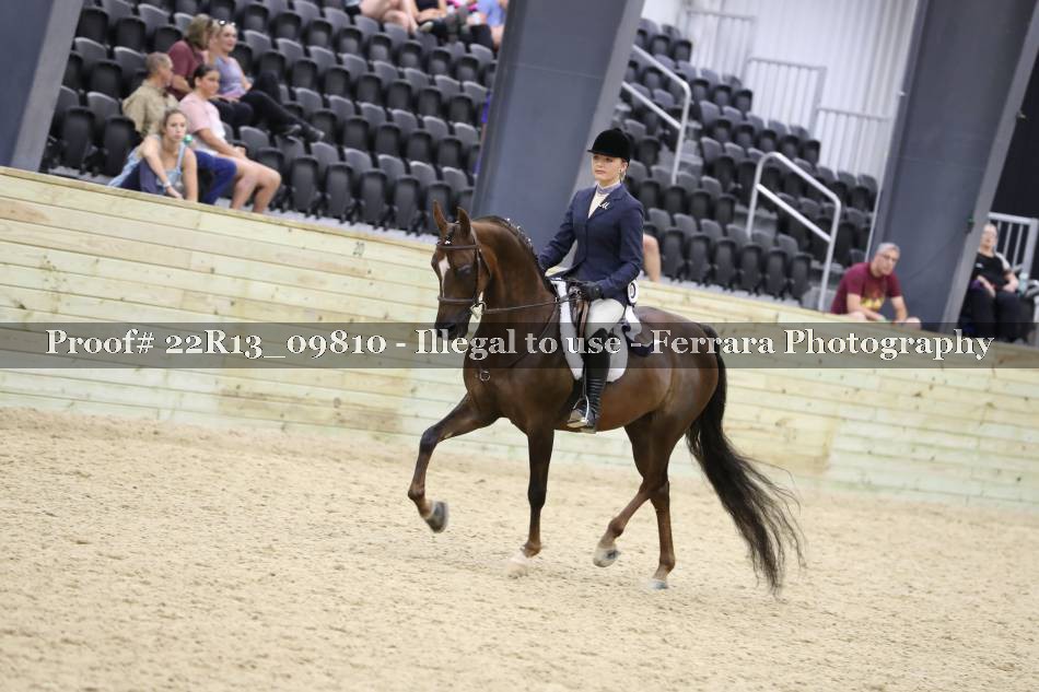 Proof 22R13_09810