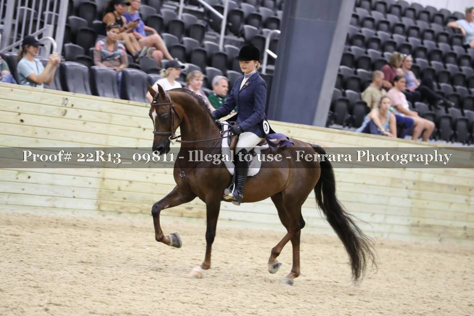 Proof 22R13_09811