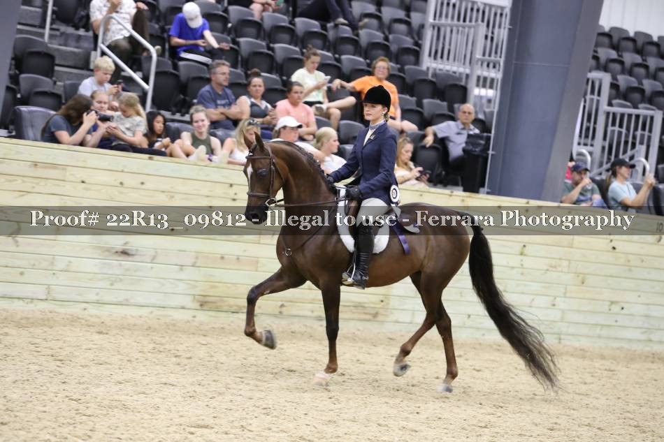 Proof 22R13_09812