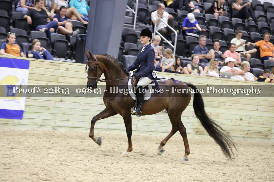 Proof 22R13_09813