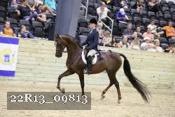 22R13_09813 proof